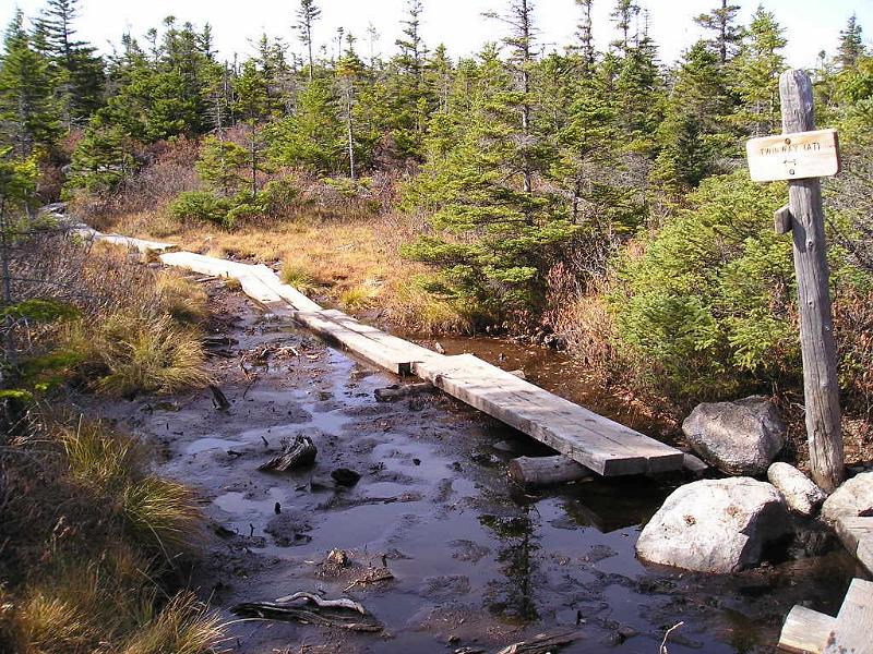 Zeacliff (34).JPG - After sitting at the cliff for a while we decided to hike to Zealand Pond. To get there we had to cross a swampy area.